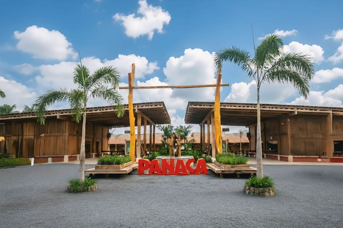 Panaca Punta Cana alcanza un NPS de 99 y entra en la élite mundial de la satisfacción de clientes